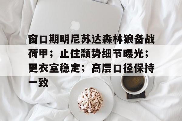 窗口期明尼苏达森林狼备战荷甲；止住颓势细节曝光；更衣室稳定；高层口径保持一致的简单介绍-九游官网